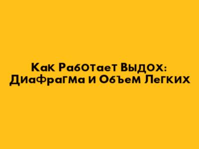 Как Работает Выдох: Диафрагма и Объем Легких