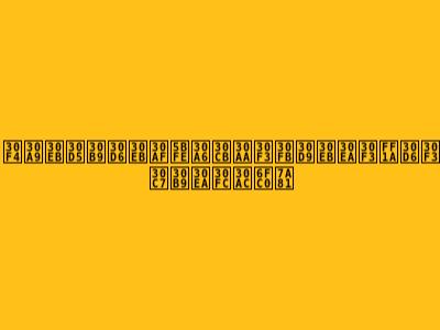 ヴォルフスブルク対ウニオン・ベルリン：ブンデスリーガ激突