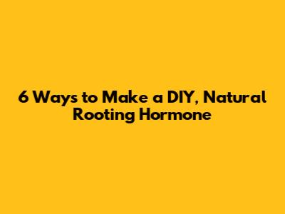 6 Ways to Make a DIY, Natural Rooting Hormone