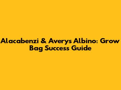 Alacabenzi & Avery's Albino: Grow Bag Success Guide