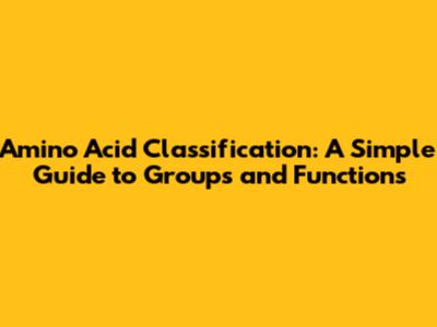 Amino Acid Classification: A Simple Guide to Groups and Functions