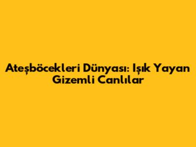 Ateşböcekleri Dünyası: Işık Yayan Gizemli Canlılar