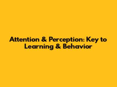 Attention & Perception: Key to Learning & Behavior