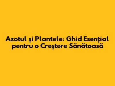 Azotul și Plantele: Ghid Esențial pentru o Creștere Sănătoasă