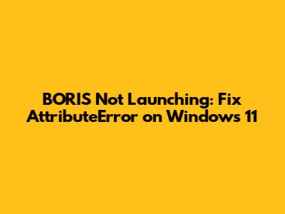 BORIS Not Launching: Fix AttributeError on Windows 11