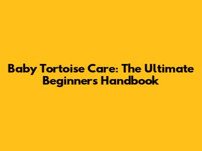 Baby Tortoise Care: The Ultimate Beginner's Handbook