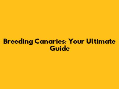 Breeding Canaries: Your Ultimate Guide