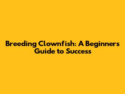 Breeding Clownfish: A Beginner's Guide to Success