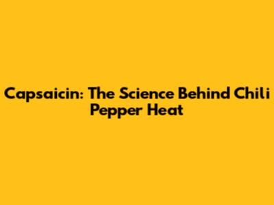 Capsaicin: The Science Behind Chili Pepper Heat
