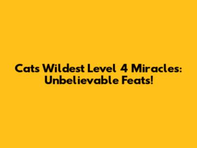 Cat's Wildest Level 4 Miracles: Unbelievable Feats!
