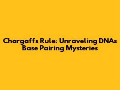 Chargaff's Rule: Unraveling DNA's Base Pairing Mysteries