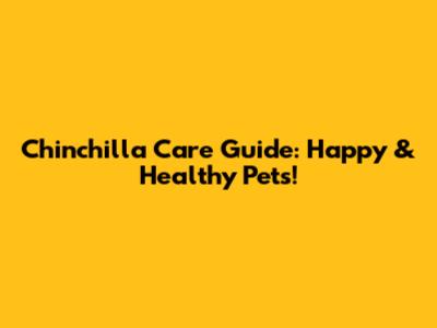 Chinchilla Care Guide: Happy & Healthy Pets!