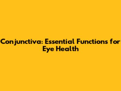 Conjunctiva: Essential Functions for Eye Health