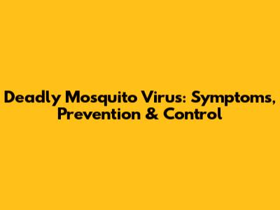 Deadly Mosquito Virus: Symptoms, Prevention & Control