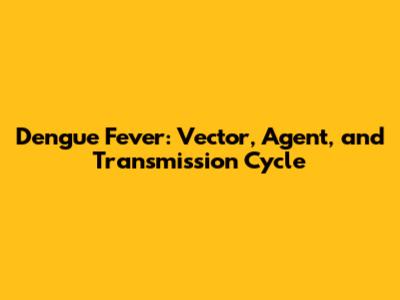 Dengue Fever: Vector, Agent, and Transmission Cycle