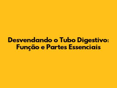 Desvendando o Tubo Digestivo: Função e Partes Essenciais