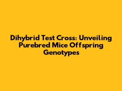 Dihybrid Test Cross: Unveiling Purebred Mice Offspring Genotypes