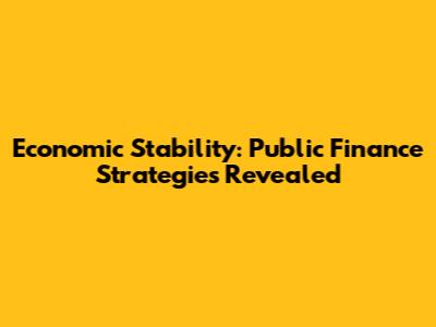 Economic Stability: Public Finance Strategies Revealed