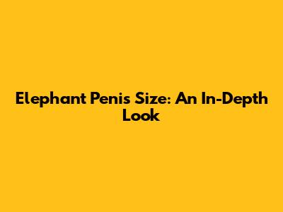 Elephant Penis Size: An In-Depth Look