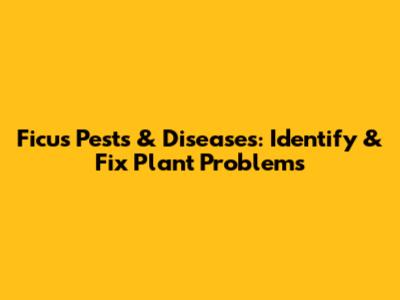 Ficus Pests & Diseases: Identify & Fix Plant Problems