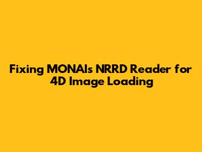 Fixing MONAI's NRRD Reader for 4D Image Loading