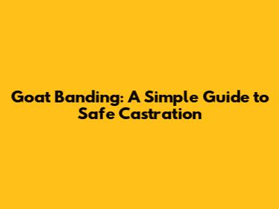 Goat Banding: A Simple Guide to Safe Castration