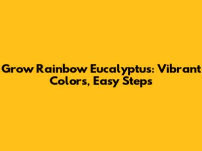 Grow Rainbow Eucalyptus: Vibrant Colors, Easy Steps