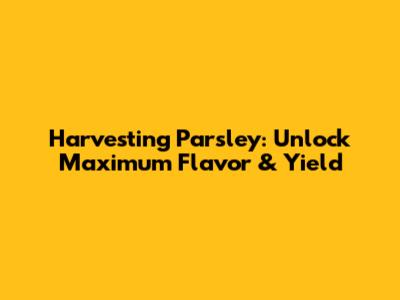 Harvesting Parsley: Unlock Maximum Flavor & Yield