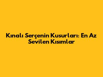 Kınalı Serçe'nin Kusurları: En Az Sevilen Kısımlar
