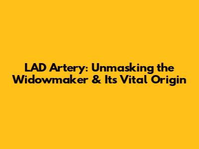 LAD Artery: Unmasking the 'Widowmaker' & Its Vital Origin