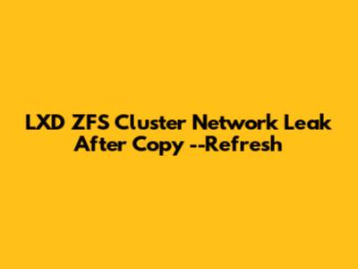 LXD ZFS Cluster Network Leak After Copy --Refresh
