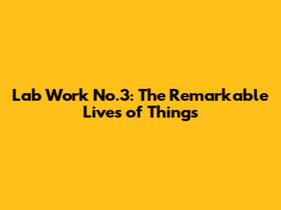 Lab Work No.3: The Remarkable Lives of Things