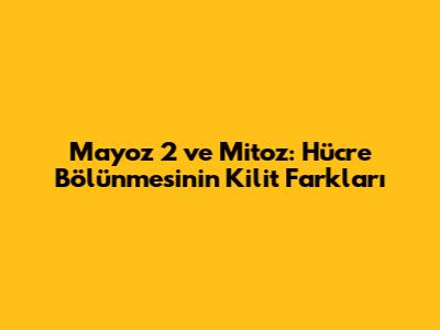 Mayoz 2 ve Mitoz: Hücre Bölünmesinin Kilit Farkları