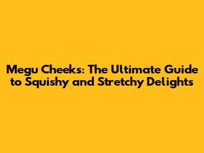 Megu Cheeks: The Ultimate Guide to Squishy and Stretchy Delights