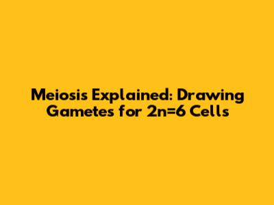Meiosis Explained: Drawing Gametes for 2n=6 Cells