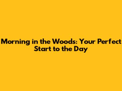 Morning in the Woods: Your Perfect Start to the Day