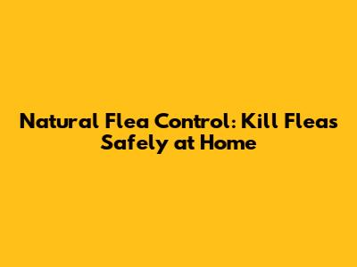 Natural Flea Control: Kill Fleas Safely at Home