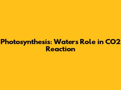 Photosynthesis: Water's Role in CO2 Reaction