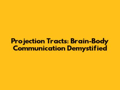 Projection Tracts: Brain-Body Communication Demystified
