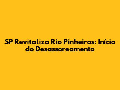 SP Revitaliza Rio Pinheiros: Início do Desassoreamento
