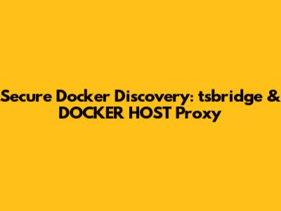 Secure Docker Discovery: tsbridge & DOCKER_HOST Proxy