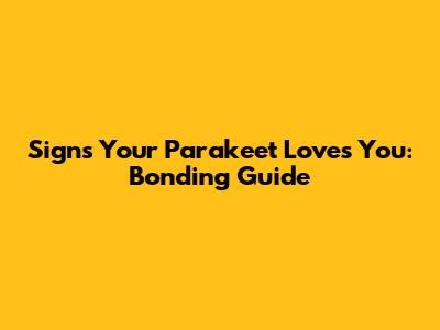 Signs Your Parakeet Loves You: Bonding Guide