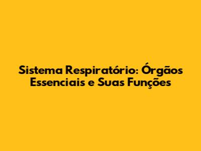 Sistema Respiratório: Órgãos Essenciais e Suas Funções
