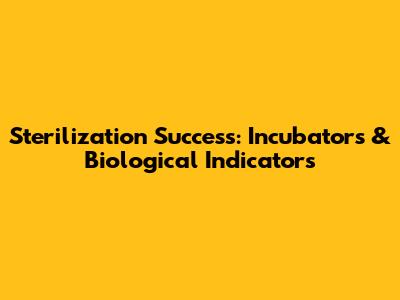 Sterilization Success: Incubators & Biological Indicators