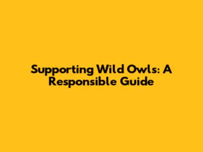 Supporting Wild Owls: A Responsible Guide