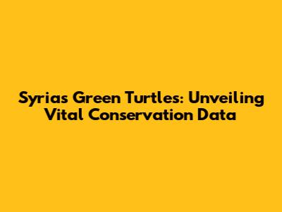 Syria's Green Turtles: Unveiling Vital Conservation Data