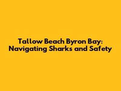 Tallow Beach Byron Bay: Navigating Sharks and Safety