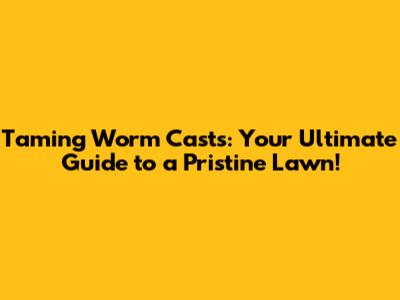 Taming Worm Casts: Your Ultimate Guide to a Pristine Lawn!