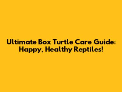 Ultimate Box Turtle Care Guide: Happy, Healthy Reptiles!