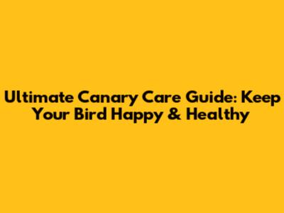 Ultimate Canary Care Guide: Keep Your Bird Happy & Healthy